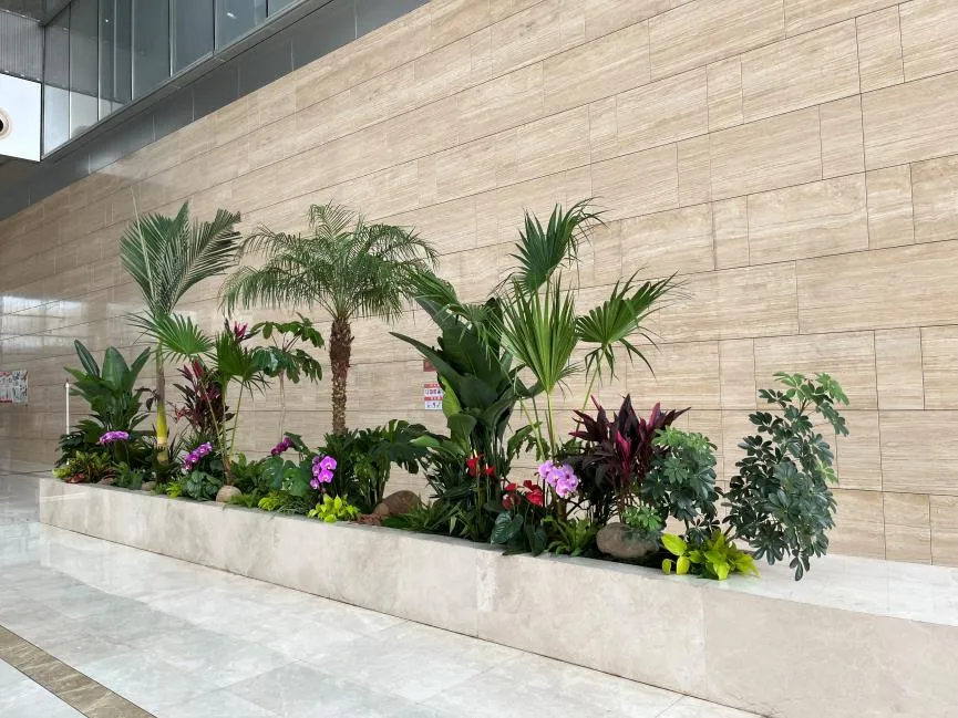 镇海盆景出租价格实惠 镇海盆景出租价格实惠